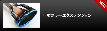MUFFLER_EXTENSION
